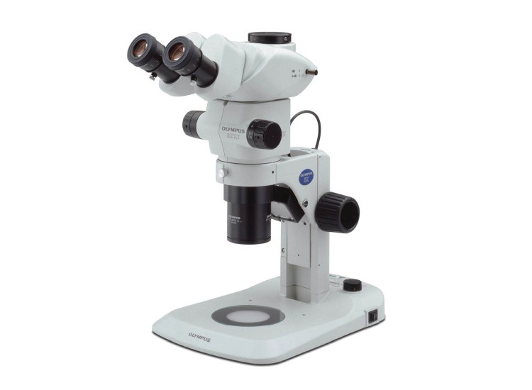 Olympus SZX7 Stereo Mikroskop Sistemi