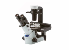 Inverted Mikroskoplar